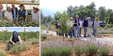 Tarım ve Orman Bakanı Dr. Bekir Pakdemirli, Muğla'da lavanta hasadı yaptı.