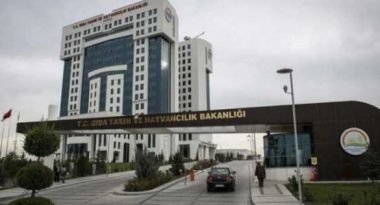 TARIM VE ORMAN BAKANLIĞINA 2 BİN 153 SÖZLEŞMELİ PERSONEL ALINACAK