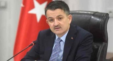 FİDAN İHRACATI İLE EKONOMİMİZE 97 MİLYON DOLARLIK KATKI