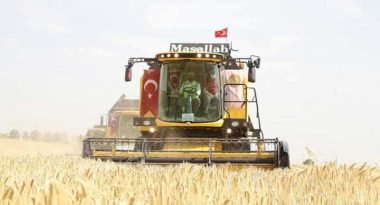 Bakan Pakdemirli Ceylanpınar'da İlk Hasadı Gerçekleştirdi