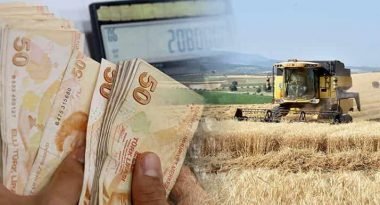 Tarım ve Hayvancılık Desteklemeleri Hesaplara Yattı