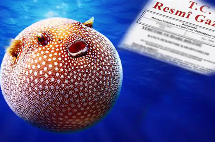BALON BALIĞI AVCILIĞININ DESTEKLENMESİNE 5 MİLYON TL DESTEKLEME ÖDEMESİ YAPILACAK