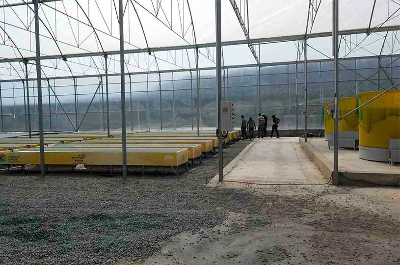 TOPRAKSIZ TARIM İÇİN HATAY’DA İLK SERA KURULDU