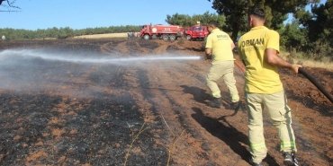 Çanakkale'de tarım arazisi yandı: 100 dönüm alan zarar gördü