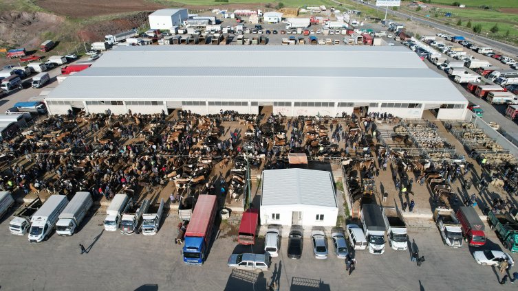 Kurbanlar 'Tarım Cebimde' uygulaması ile sorgulanıyor