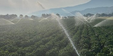 Tarım arazileri yeni yatırımlarla suya kavuşacak