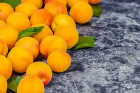 Doğu Anadolu’nun incisinde “Sarı altın” hasadı başladı!