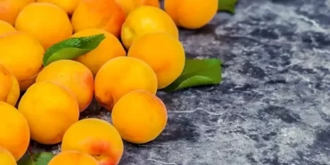 Doğu Anadolu’nun incisinde “Sarı altın” hasadı başladı!