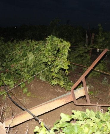 Manisa'da sağanak ve dolu: Tarım arazileri zarar gördü